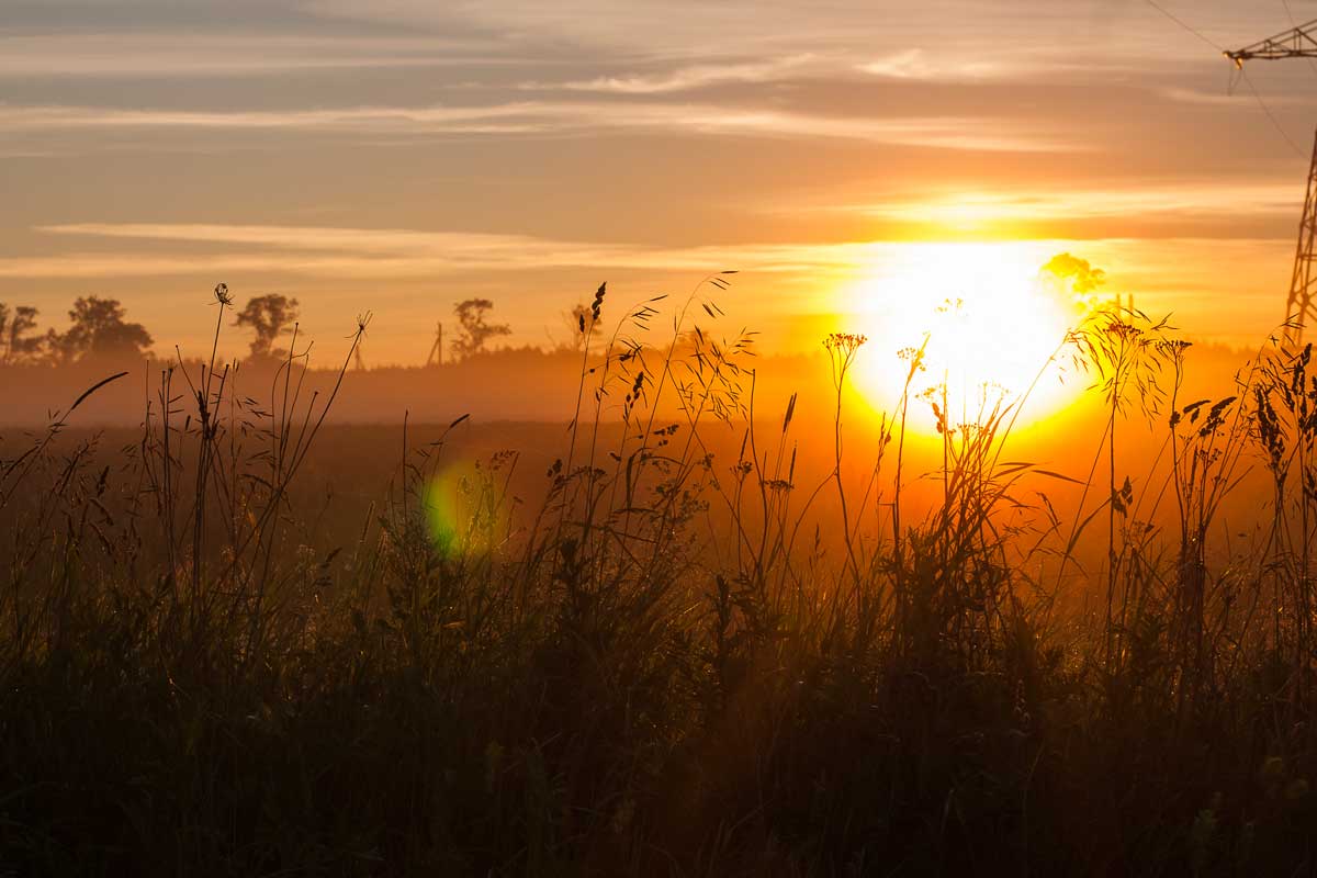 Sunrise in Nemunas Delta, Lithuania